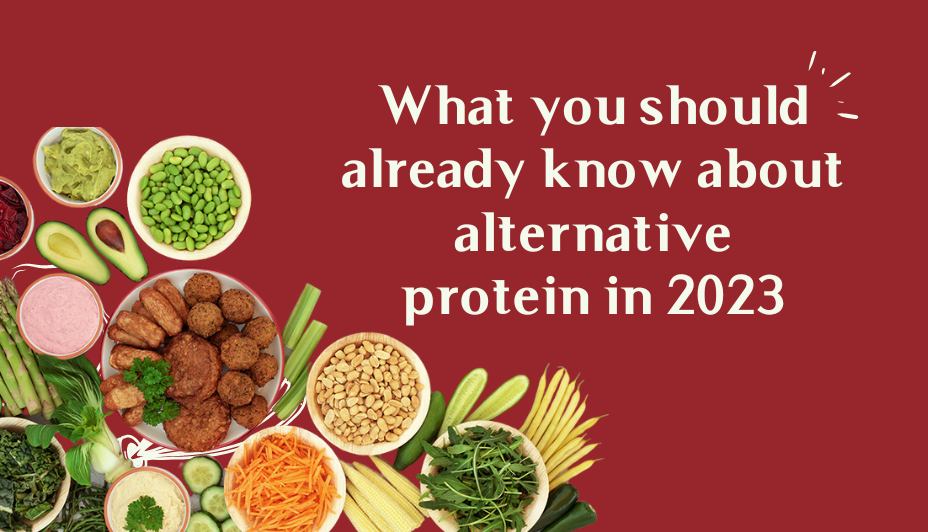 What you should already know about alternative protein in 2023